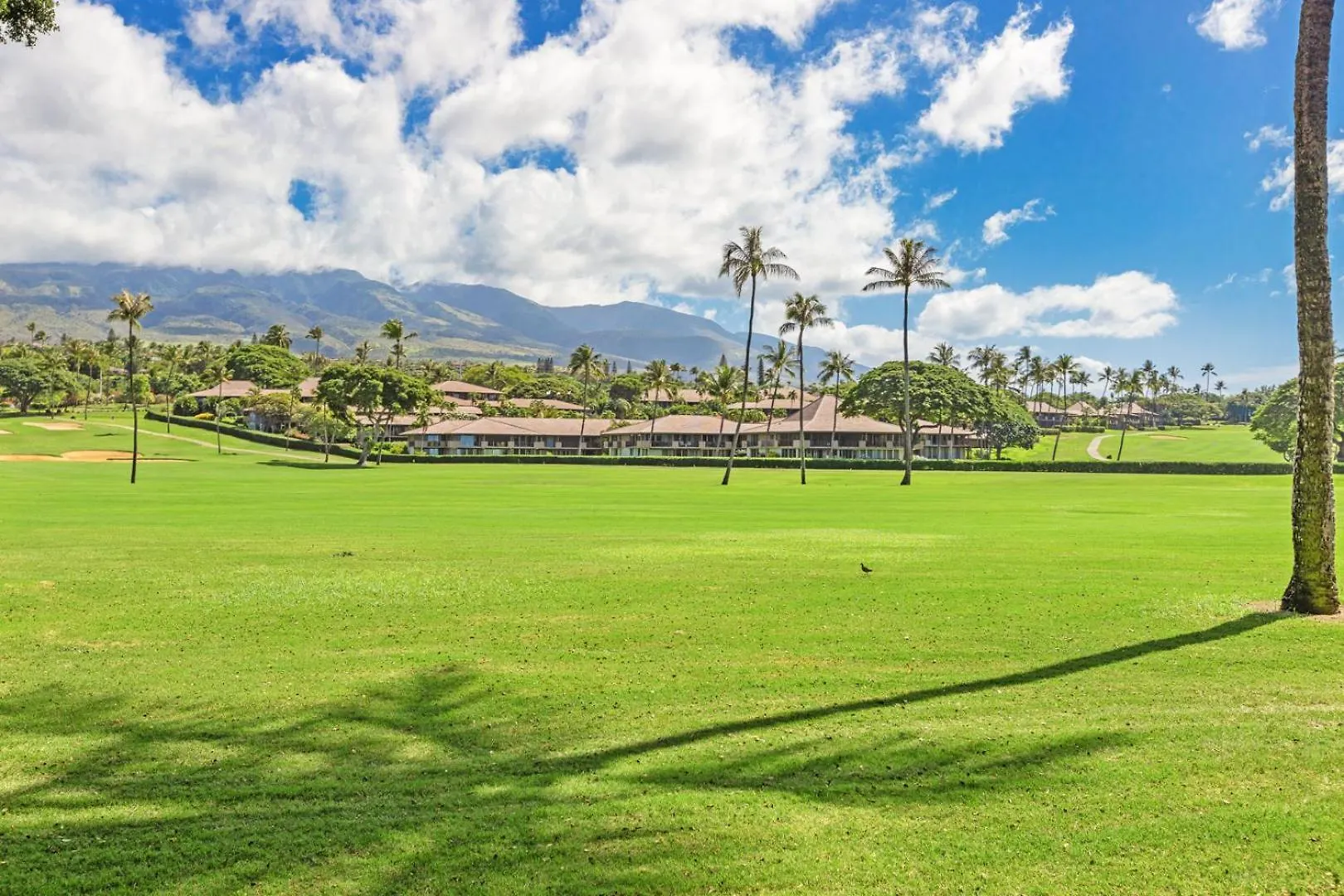 Resort Maui Eldorado - L-105 - Hotel Kahana United States